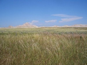 ED-Oglala-National-Grassland-Nebraska-USA-near-Toadstool-Geologic-Park-image-released-to-public-domain-by-author-Brian-Kell-300x225